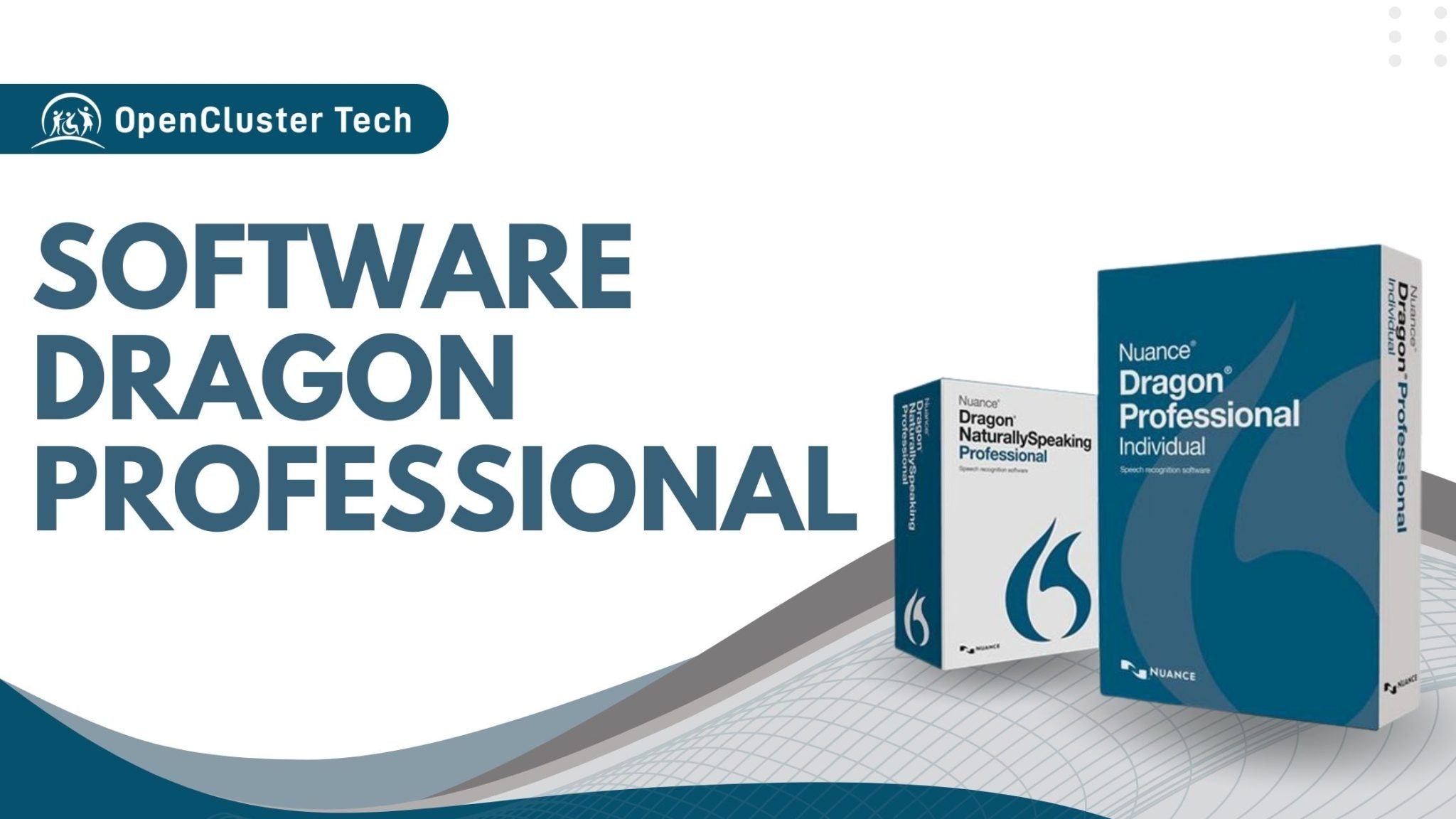 Software Dragon Professional – Accesibilidad Digital