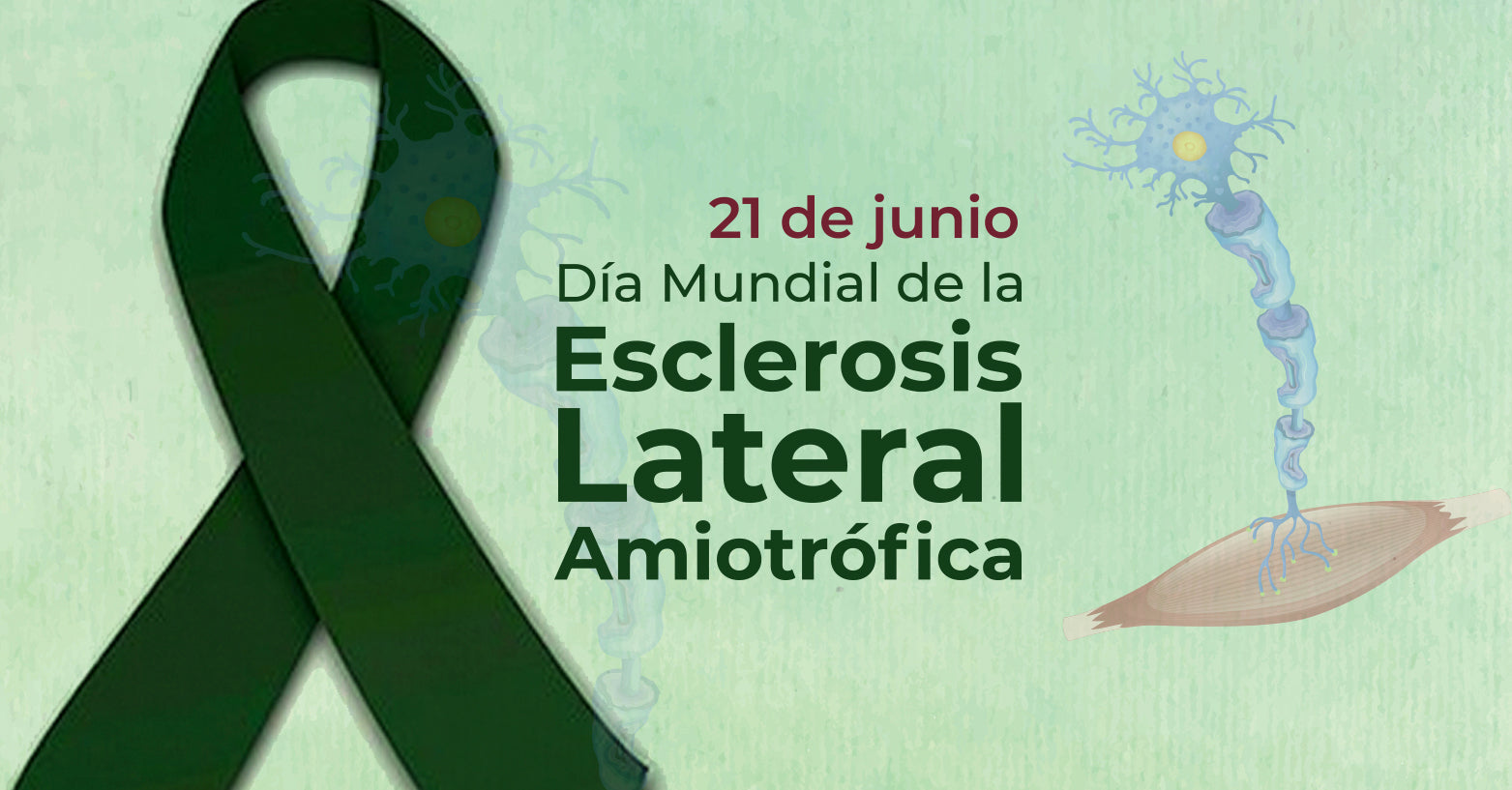 Día Internacional de la Esclerosis Lateral Amiotrófica