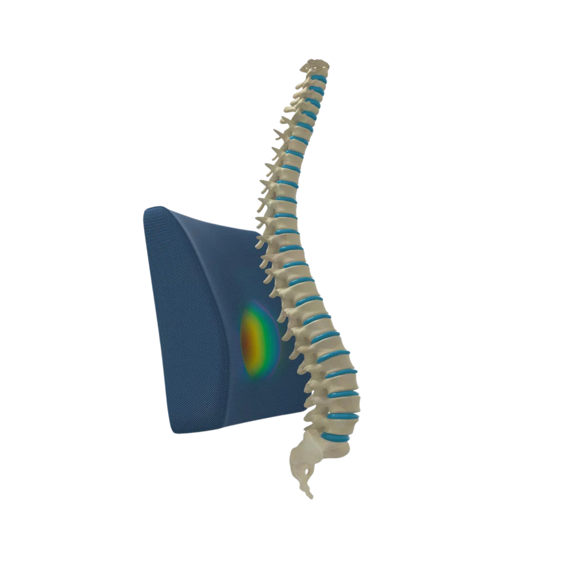 Cojin Lumbar Therashape Azul TM320