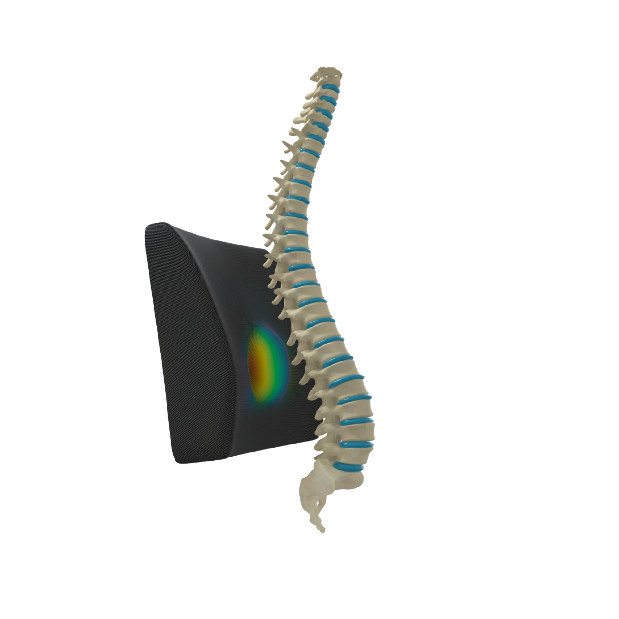 Cojín Lumbar Therashape Negro TM322