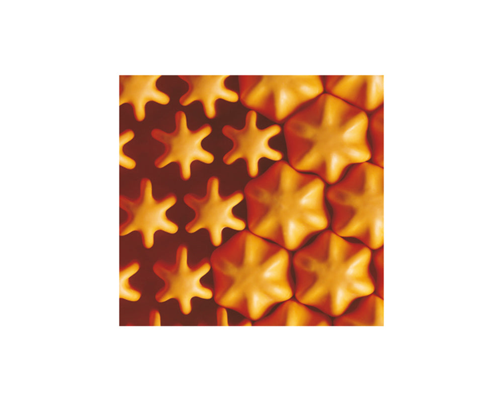 Cojín Antiescaras Celdas de Aire Alto Perfil Systam P302C