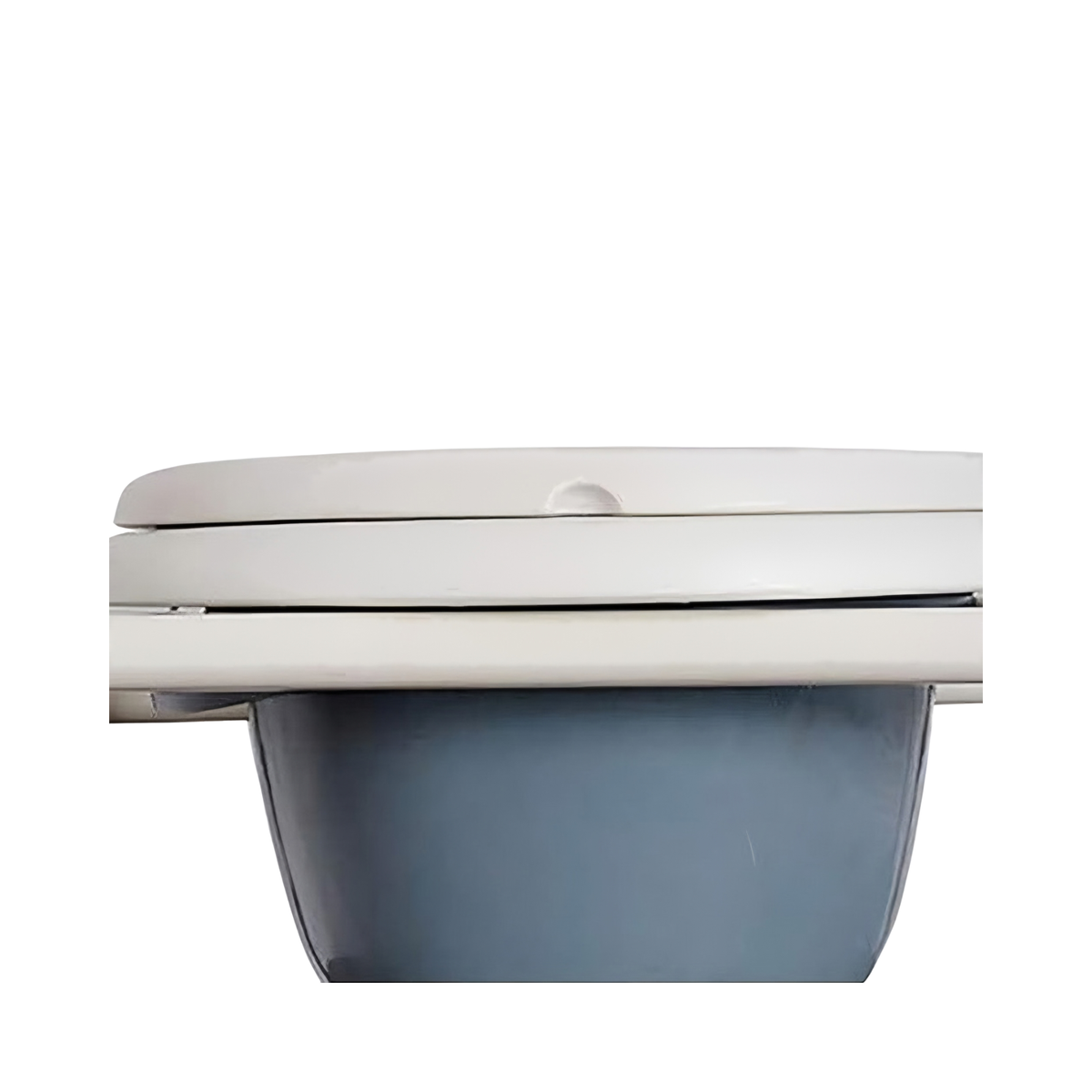 Detalle del asiento con tapa y del recipiente bajo el asiento