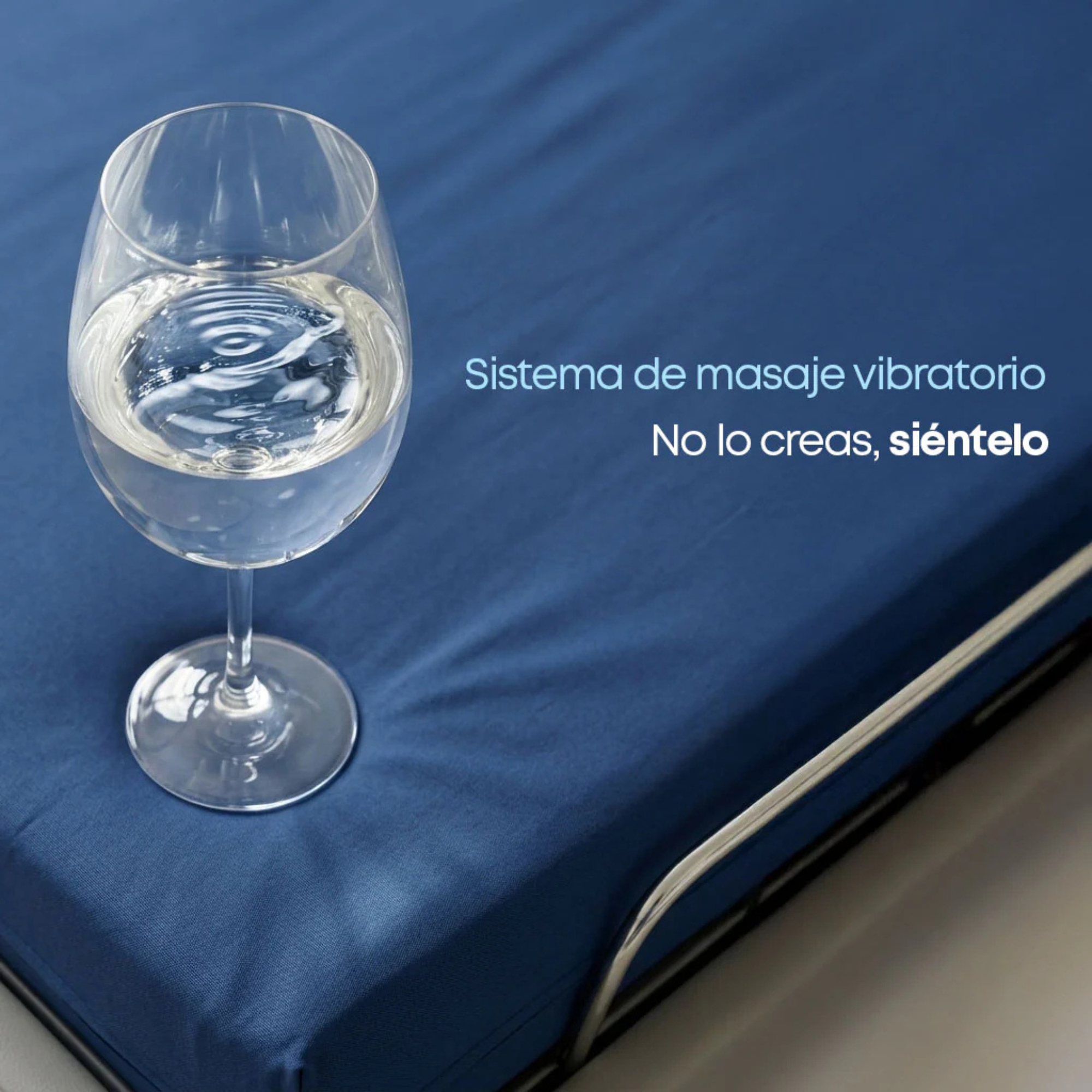 Cama Eléctrica Theraflex TM981