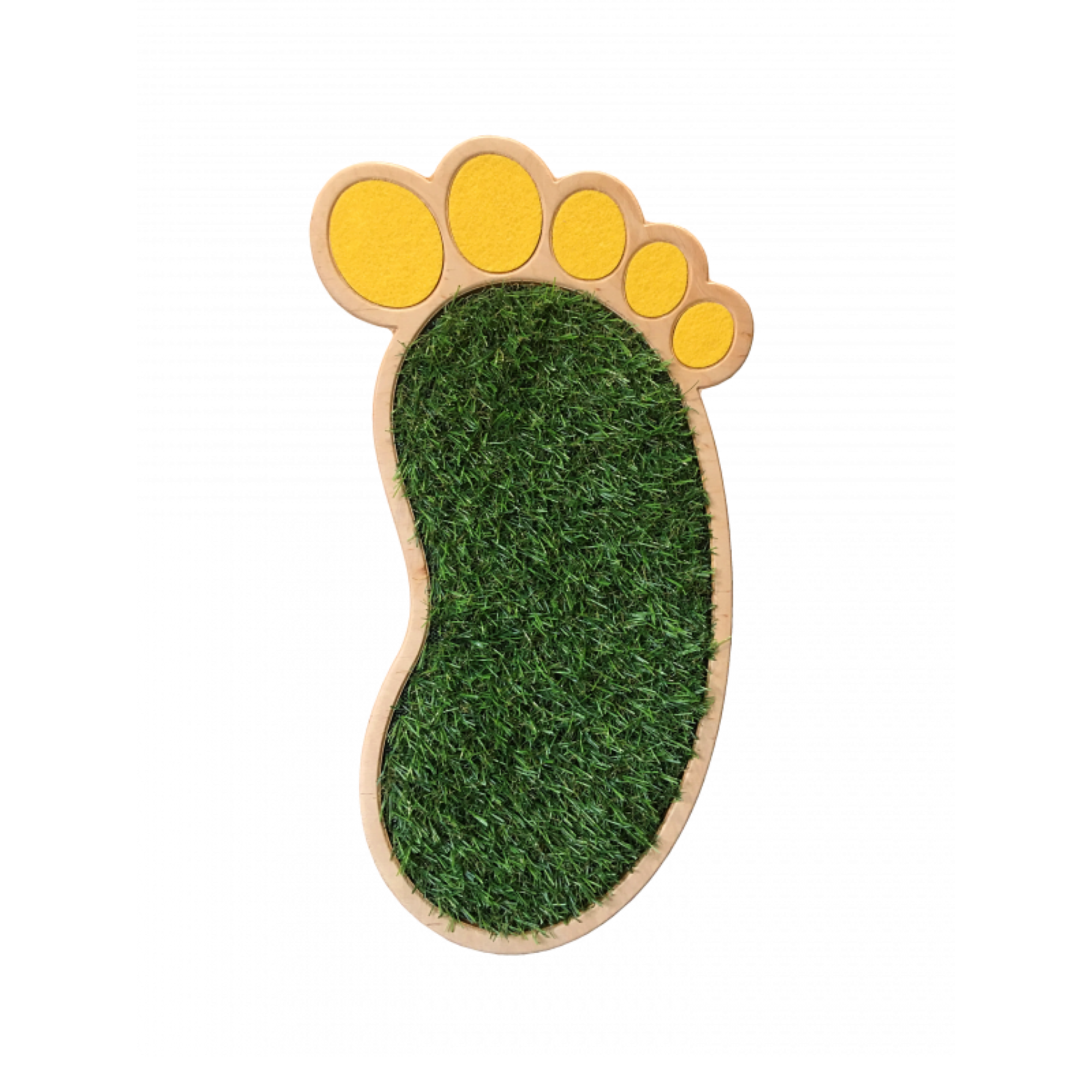 Sensory Feet