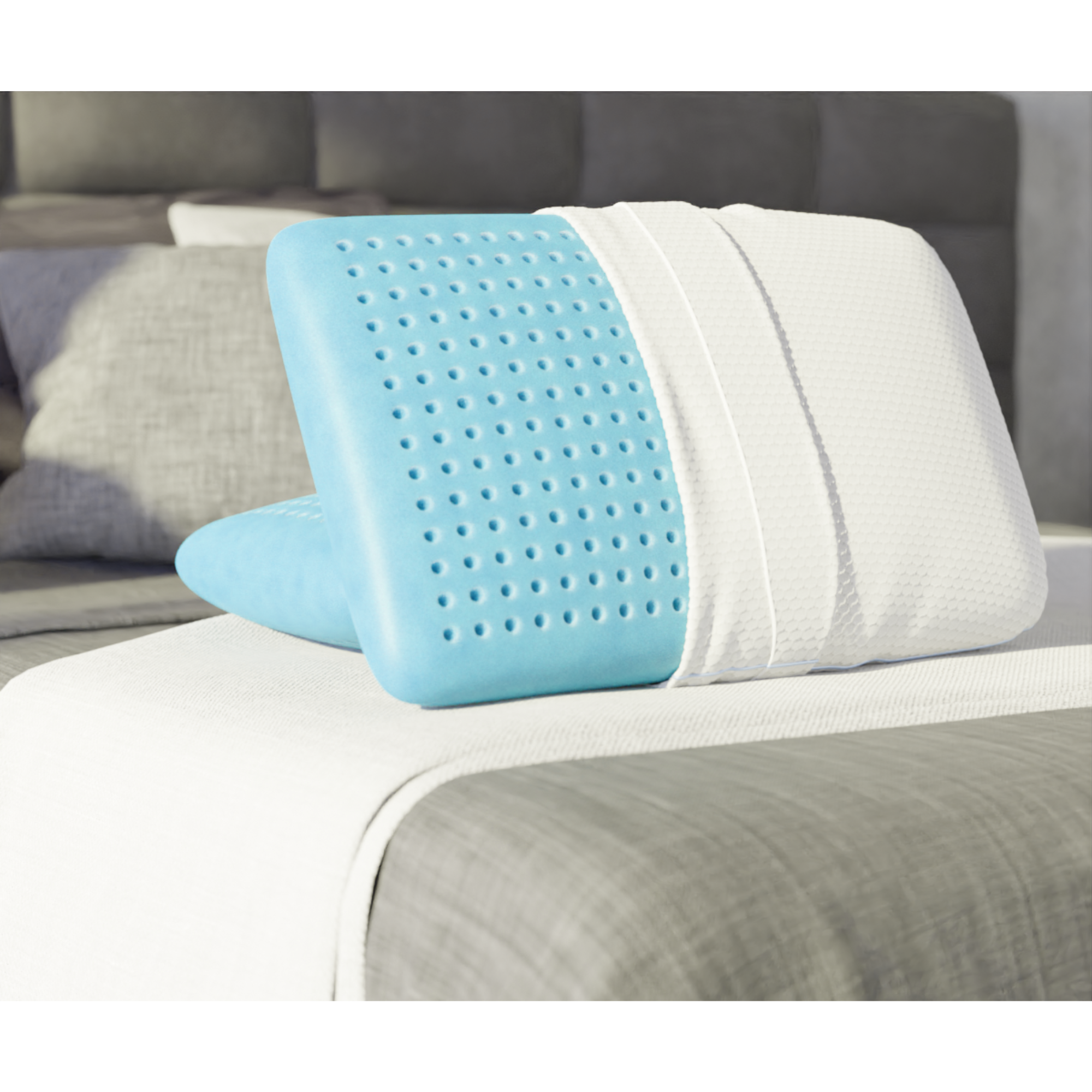 Almohada Theralastic TM211